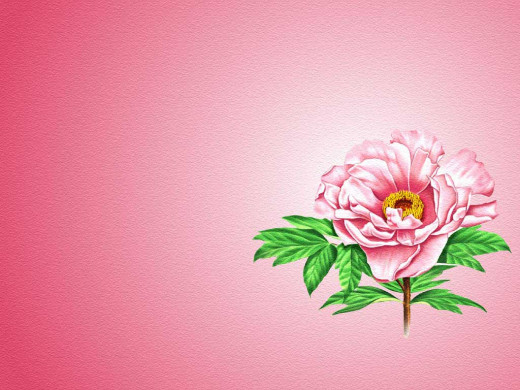 303196 (a): :1024x768